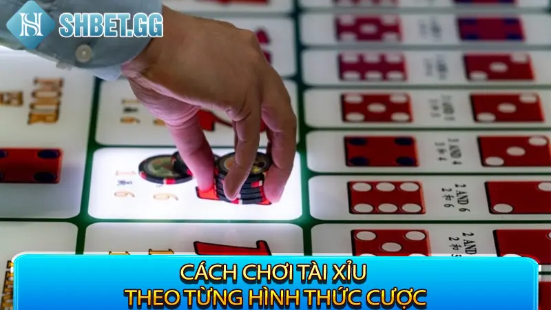 Cách chơi tài xỉu theo từng hình thức cược