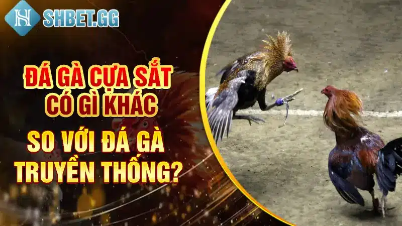 Đá gà cựa sắt có gì khác so với đá gà truyền thống?