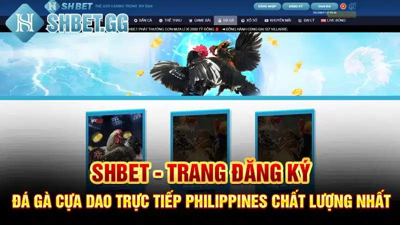 Shbet - Trang đăng ký đá gà cựa dao trực tiếp Philippines chất lượng nhất