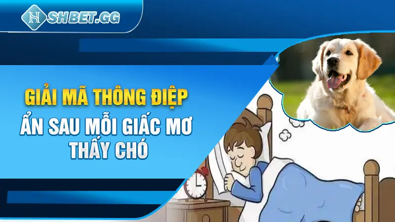 Giải mã thông điệp ẩn sau mỗi giấc mơ thấy chó 