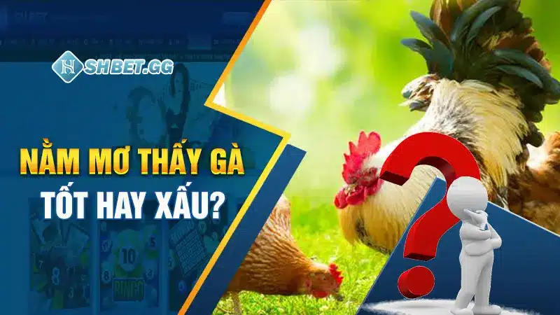 Nằm mơ thấy gà tốt hay xấu? 