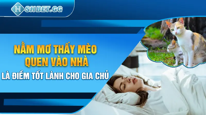 Nằm mơ thấy mèo vào nhà