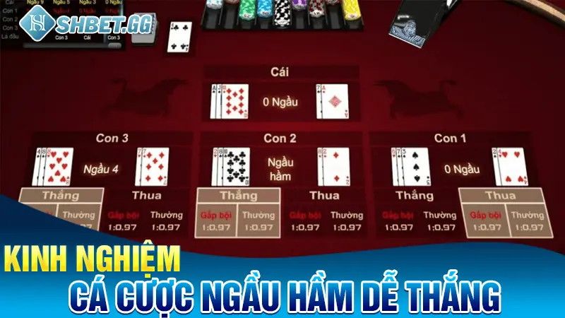 kinh nghiệm cá cược Ngầu Hầm