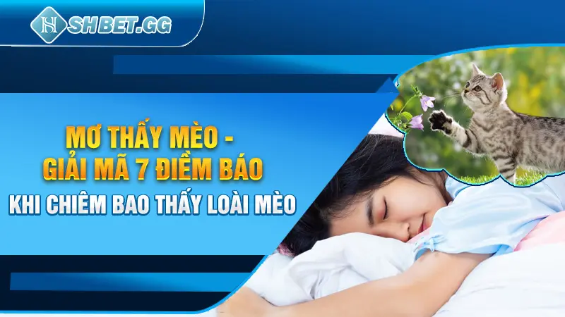 Mơ Thấy Mèo - Giải Mã 7 Điềm Báo Khi Chiêm Bao Thấy Loài Mèo