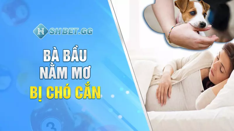 Bà bầu nằm mơ bị chó cắn