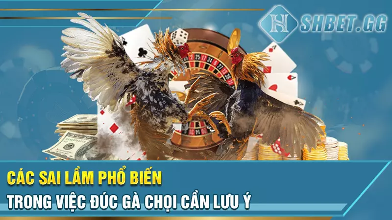 Các sai lầm phổ biến trong việc đúc gà chọi cần lưu ý