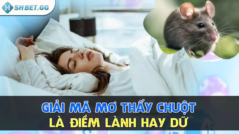 Giải mã mơ thấy chuột là điềm lành hay dữ