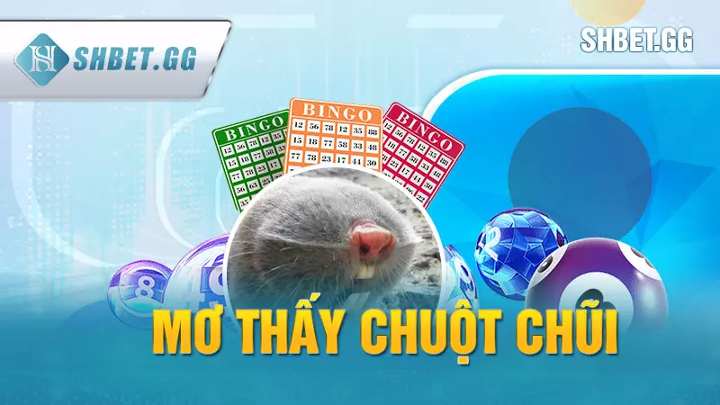 Mơ thấy chuột chũi