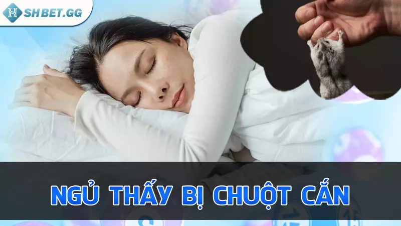 Ngủ thấy bị chuột cắn