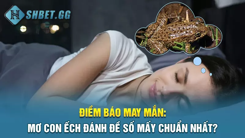 Điềm báo may mắn: Mơ con ếch đánh đề số mấy chuẩn nhất?