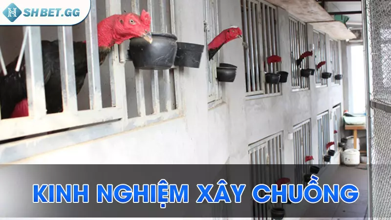 Kinh nghiệm xây chuồng