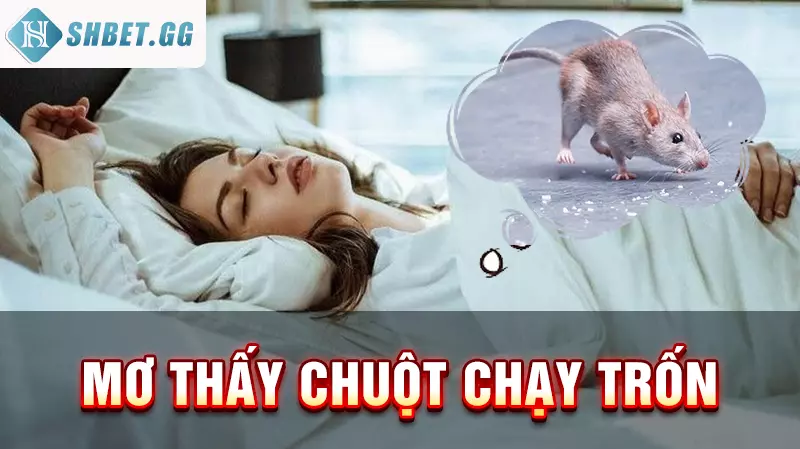 Mơ thấy chuột chạy trốn