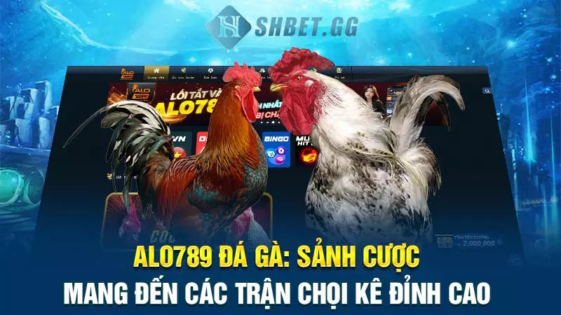 Alo789 đá gà: Sảnh cược mang đến các trận chọi kê đỉnh cao